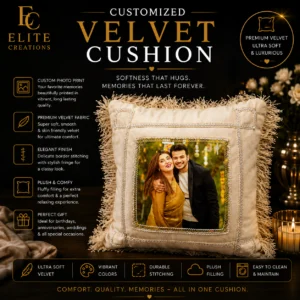 Velvet Cushion (18 x 18)Inches